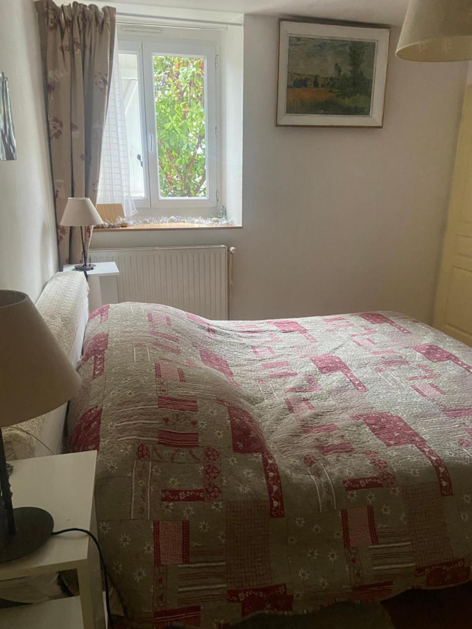 Les Lucioles Apartment Thonon-les-Bains Ngoại thất bức ảnh