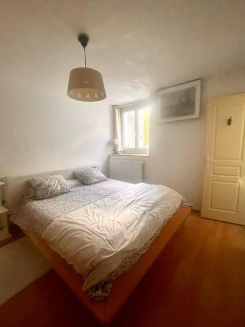 Les Lucioles Apartment Thonon-les-Bains Ngoại thất bức ảnh