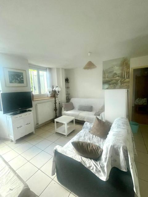 Les Lucioles Apartment Thonon-les-Bains Ngoại thất bức ảnh