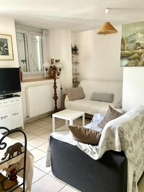 Les Lucioles Apartment Thonon-les-Bains Ngoại thất bức ảnh